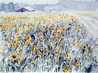 Sunflower Field (watercolor 24 x 18 in)